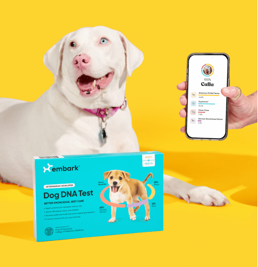 dog dna test Animal DNA testing dog dna testing
